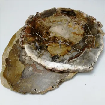 1 buc lemn natural fosili piatra naturala cuart cristal specimen felie de cristal placa pentru decor sau coaster 2460